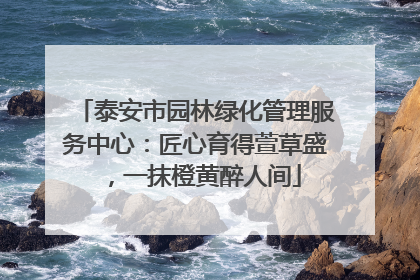 泰安市园林绿化管理服务中心：匠心育得萱草盛，一抹橙黄醉人间