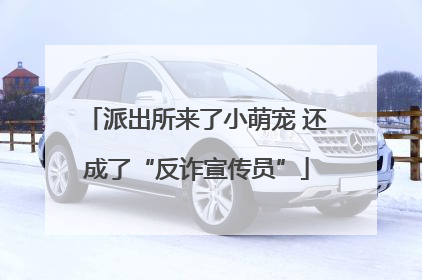 派出所来了小萌宠 还成了“反诈宣传员”