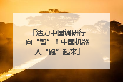 活力中国调研行｜向“智”！中国机器人“跑”起来
