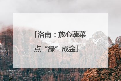 洛南：放心蔬菜点“绿”成金