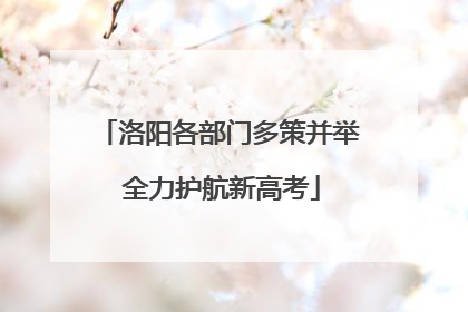 洛阳各部门多策并举 全力护航新高考