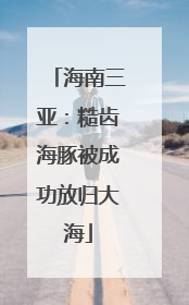 海南三亚：糙齿海豚被成功放归大海