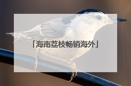 海南荔枝畅销海外