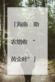 海南：助农增收 “黄金叶”