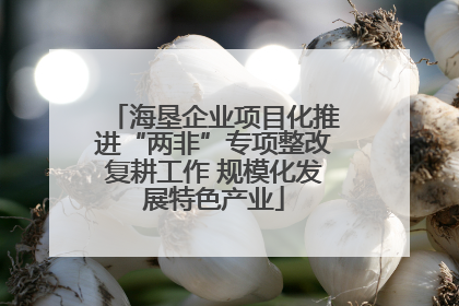海垦企业项目化推进“两非”专项整改复耕工作 规模化发展特色产业