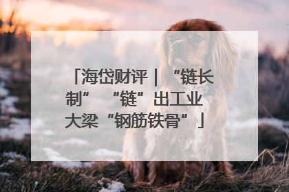海岱财评｜“链长制” “链”出工业大梁“钢筋铁骨”