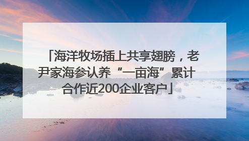 海洋牧场插上共享翅膀，老尹家海参认养“一亩海”累计合作近200企业客户