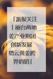 浙报关注丨丽台两地姜产业抱团创新发展 缙云黄姜跨界俏销