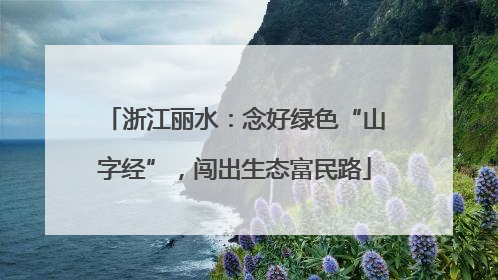 浙江丽水：念好绿色“山字经”，闯出生态富民路