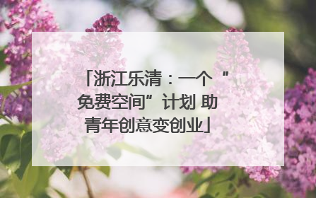 浙江乐清：一个“免费空间”计划 助青年创意变创业