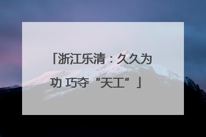 浙江乐清：久久为功 巧夺“天工”