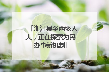 浙江县乡两级人大，正在探索为民办事新机制