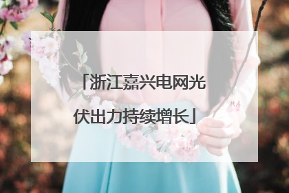 浙江嘉兴电网光伏出力持续增长