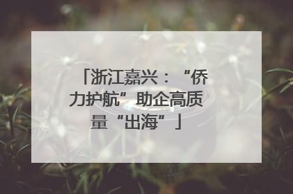 浙江嘉兴：“侨力护航”助企高质量“出海”