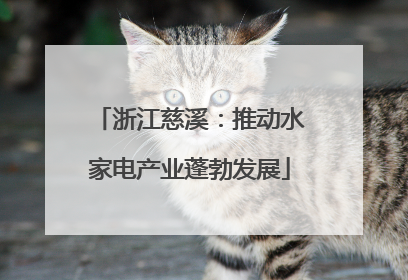 浙江慈溪：推动水家电产业蓬勃发展