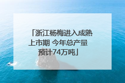 浙江杨梅进入成熟上市期 今年总产量预计74万吨