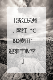 浙江杭州：网红“CBD麦田”迎来丰收季