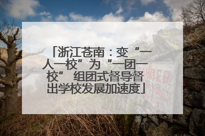 浙江苍南：变“一人一校”为“一团一校” 组团式督导督出学校发展加速度