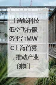 浩鲸科技低空飞行服务平台MWC上海首秀，推动产业创新