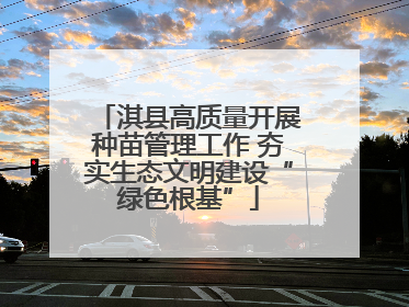 淇县高质量开展种苗管理工作 夯实生态文明建设“绿色根基”