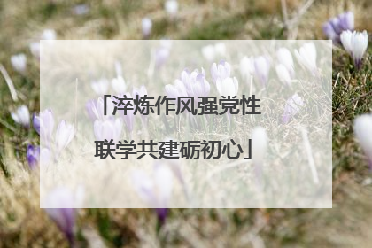 淬炼作风强党性 联学共建砺初心