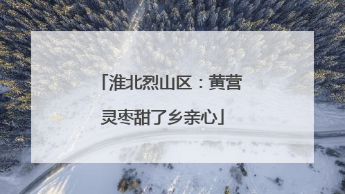 淮北烈山区：黄营灵枣甜了乡亲心