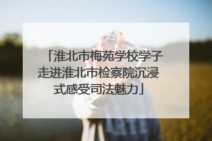 淮北市梅苑学校学子走进淮北市检察院沉浸式感受司法魅力