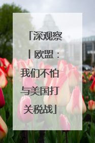 深观察丨欧盟：我们不怕与美国打关税战