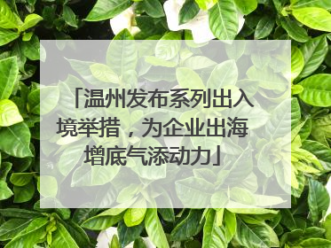 温州发布系列出入境举措，为企业出海增底气添动力