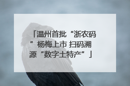 温州首批“浙农码”杨梅上市 扫码溯源“数字土特产”