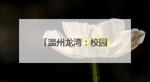 温州龙湾：校园足球班级联赛点燃学生足球梦