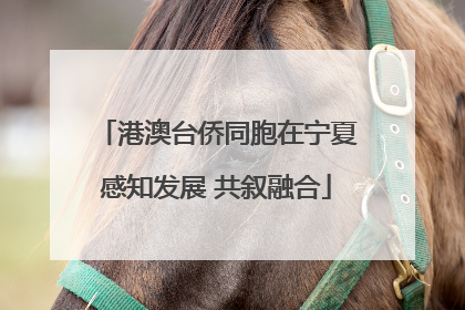 港澳台侨同胞在宁夏感知发展 共叙融合