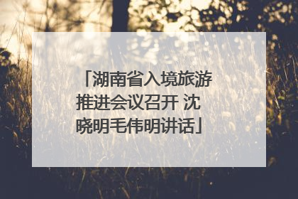 湖南省入境旅游推进会议召开 沈晓明毛伟明讲话