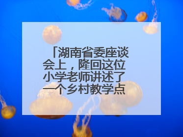湖南省委座谈会上，隆回这位小学老师讲述了一个乡村教学点的温暖故事