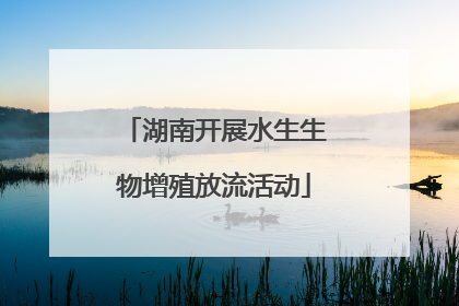 湖南开展水生生物增殖放流活动