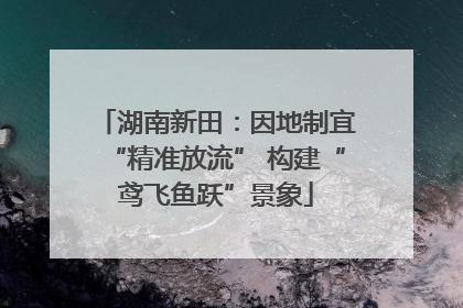 湖南新田：因地制宜“精准放流” 构建“鸢飞鱼跃”景象