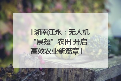 湖南江永：无人机“展翅”农田 开启高效农业新篇章