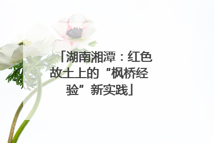 湖南湘潭：红色故土上的“枫桥经验”新实践