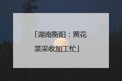 湖南衡阳：黄花菜采收加工忙