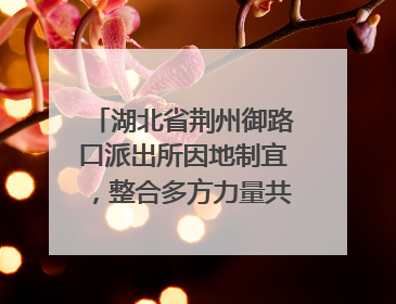 湖北省荆州御路口派出所因地制宜，整合多方力量共建平安校园