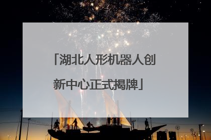 湖北人形机器人创新中心正式揭牌