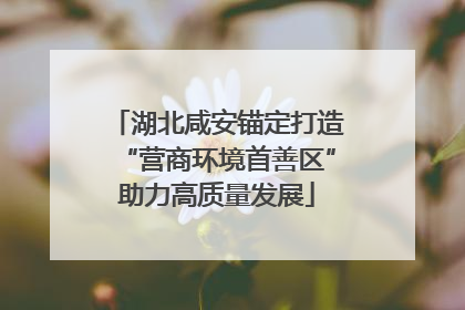 湖北咸安锚定打造“营商环境首善区”助力高质量发展