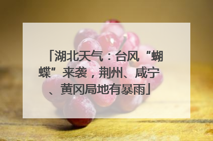 湖北天气：台风“蝴蝶”来袭，荆州、咸宁、黄冈局地有暴雨