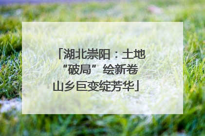 湖北崇阳：土地“破局”绘新卷 山乡巨变绽芳华
