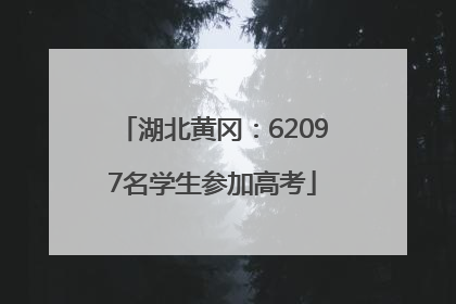 湖北黄冈：62097名学生参加高考