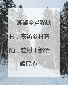 湖潮乡芦猫塘村：夜访乡村巷陌，驻村干部情暖民心