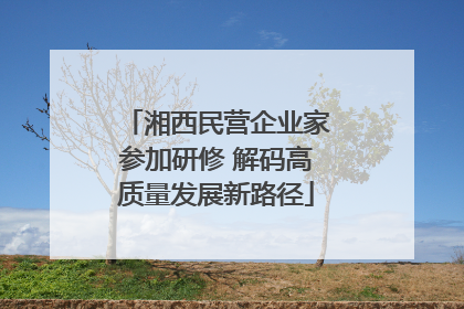 湘西民营企业家参加研修 解码高质量发展新路径