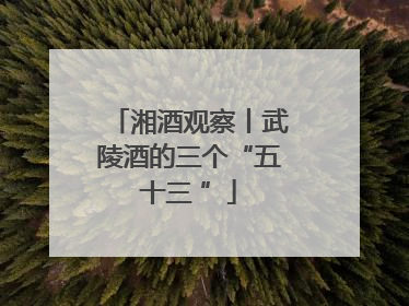 湘酒观察丨武陵酒的三个“五十三 ”