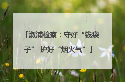 溆浦检察：守好“钱袋子” 护好“烟火气”