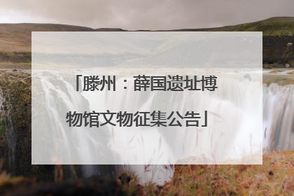 滕州：薛国遗址博物馆文物征集公告
